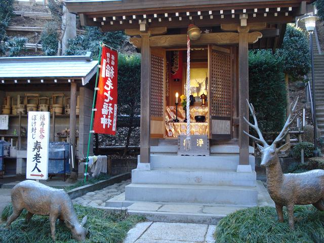 seigenji06.jpg - 盛源寺／鹿